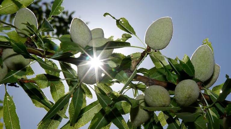 EPA updates protections from pesticide drift for farmworkers, communities